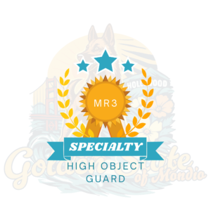 High Object Guard