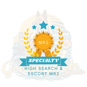 High Search & Escort MR2