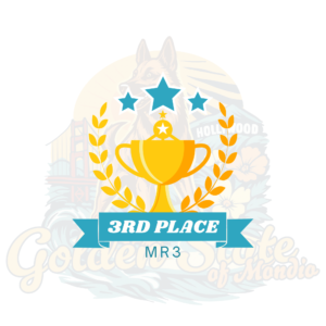 3rd Place MR3