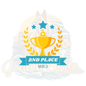 2nd Place MR3